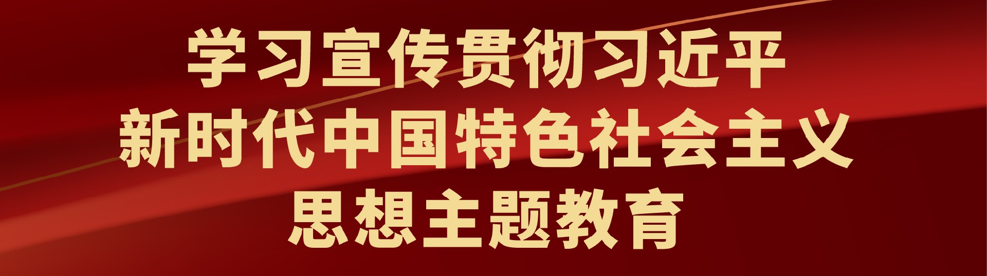 新時(shí)代中國(guó)特色社會(huì)主義思想主題教育